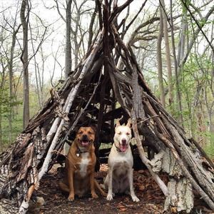 Meet your Posher, Alison